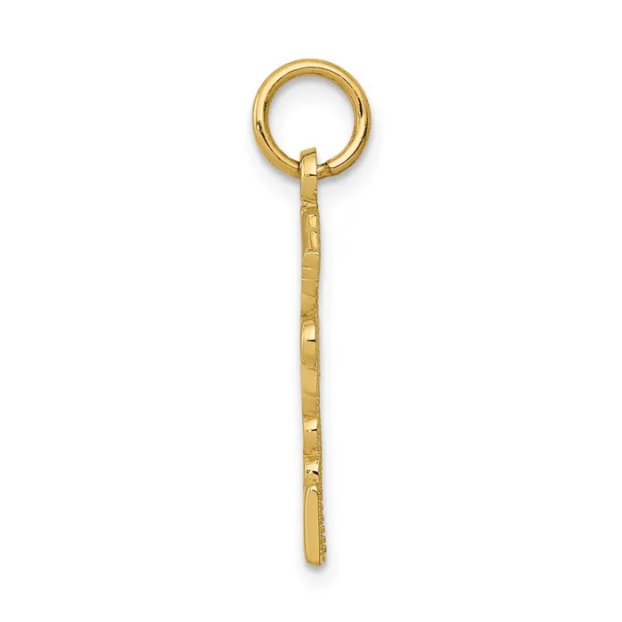 Charm Necklaces Qgold 10k Yellow Gold 15 mm Registered Nurse Practitioner Charm 083 grams