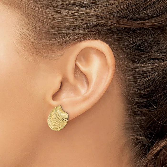 Qgold Earrings 14k Yellow Gold 168 mm 2D Textured and Polished Clam Shell Post Earrings 488 grams Qgold Earrings 14k Yellow Gold 168 mm 2D Textured and Polished Clam Shell Post Earrings 488 grams
