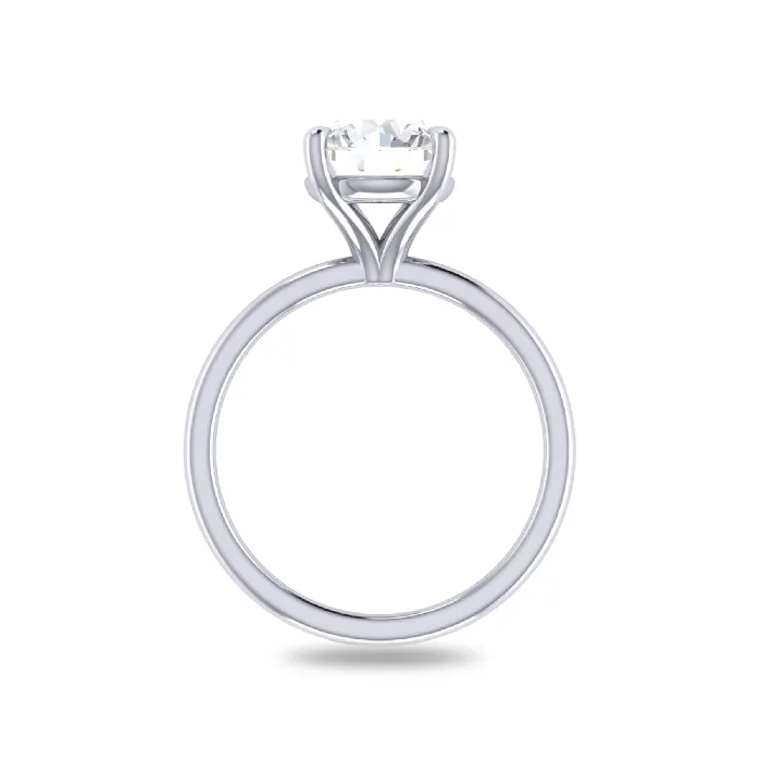 The AUSTIN Ring Iconic Collection Rings